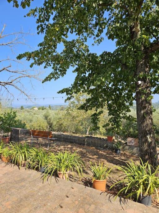 Casina Rossa Apartment Tavarnuzze Bagian luar foto